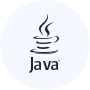 Professional Java  developer